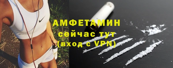 шишки Горнозаводск