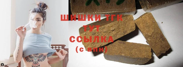 шишки Горнозаводск