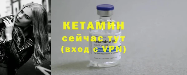 шишки Горнозаводск