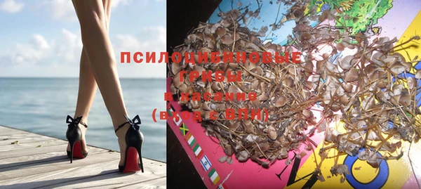 шишки Горнозаводск