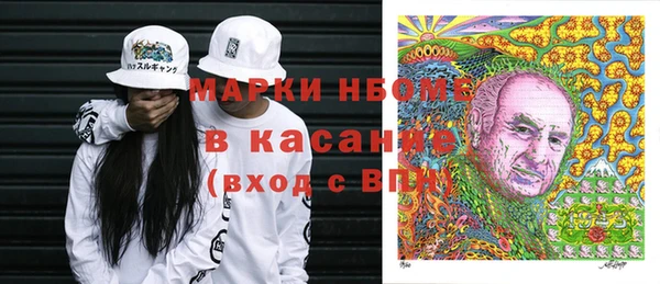 шишки Горнозаводск