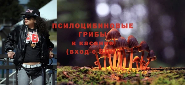 мдма Горняк