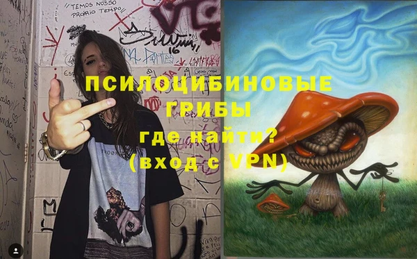 шишки Горнозаводск